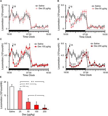 Oral Delivered Dexmedetomidine Promotes and Consolidates Non-rapid Eye Movement Sleep via Sleep–Wake Regulation Systems in Mice